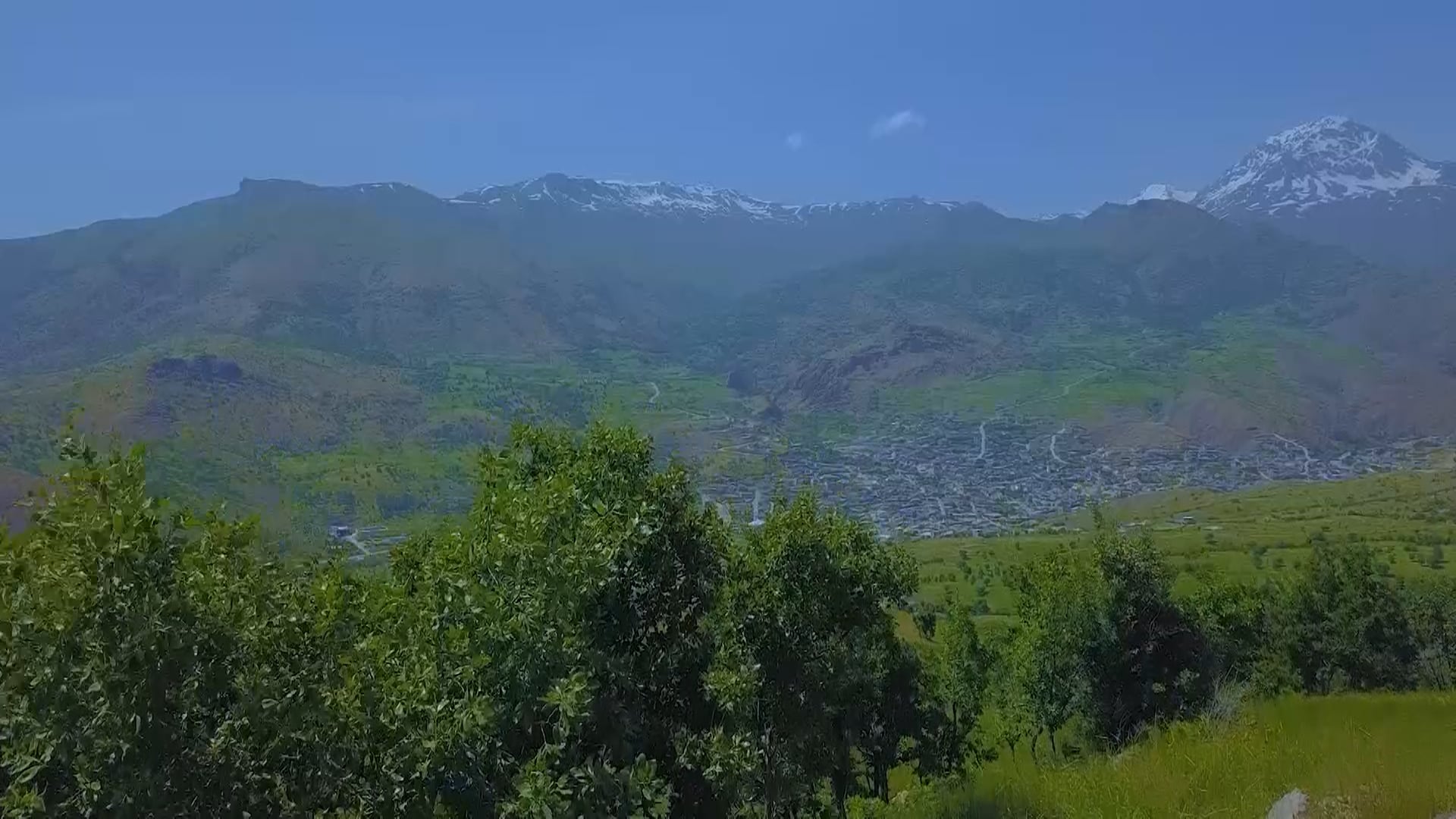 فێڵاو