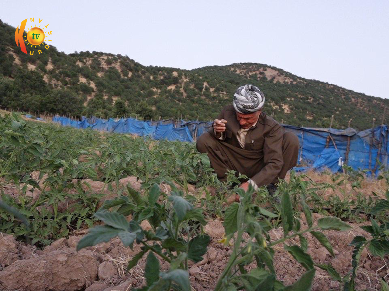 چەند دیمەنێکی سروشتی گوندی کەژەک لە سنوری قەزای سیدەکان
