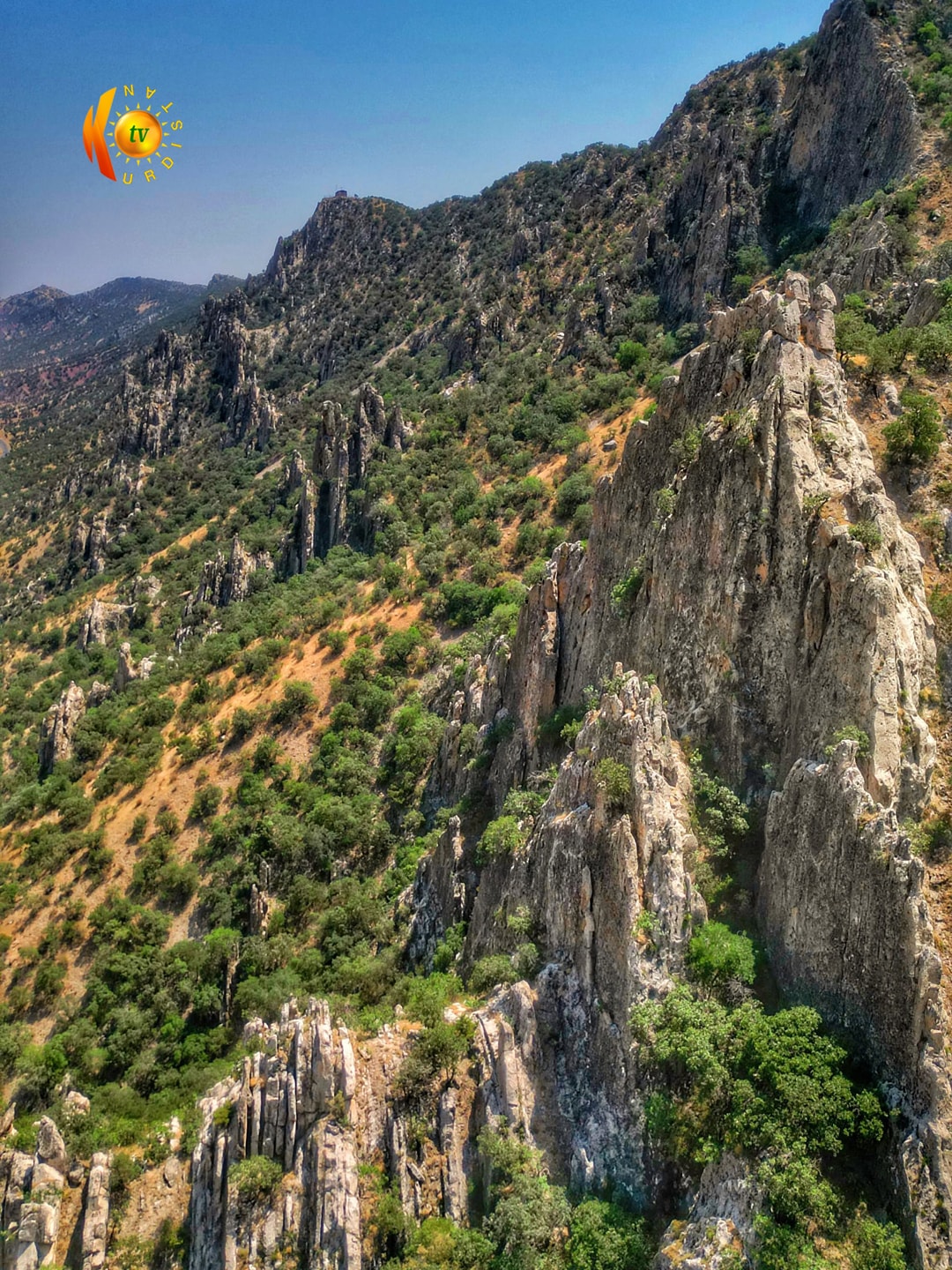 زنجیرە چیای کێرێ