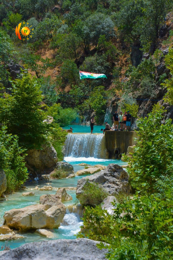 گەلی شێرانە