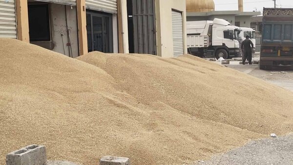 سایلۆکانی هەولێر زیاتر لە 65 هەزار تەن گەنمی وەرنەگیراوی سنووری کەندێناوە، گوێڕ و مەلاقەرە وەردەگرن