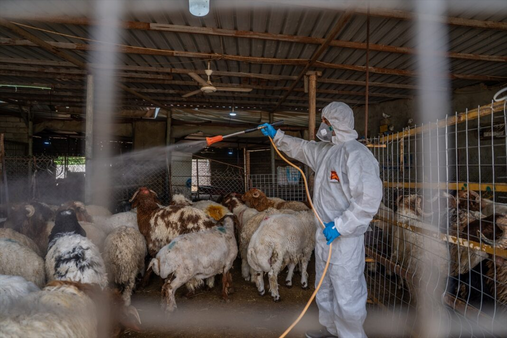 وهزارهتی تهندروستی چهندین ڕێنمایی بۆ خۆپارێزی له تای خوێنبهربوون بڵاودهكاتهوه