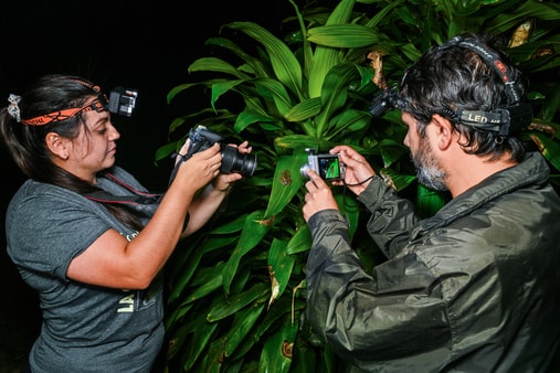 لە کۆستاریکا جۆرێکی نوێی بۆق دۆزرایەوە