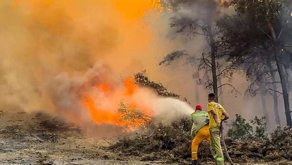 بەهۆی ئاگرکەوتنەوە لە دارستانەکانی واشنتنی ئەمریکا باری نائاسایی ڕاگهیهنرا