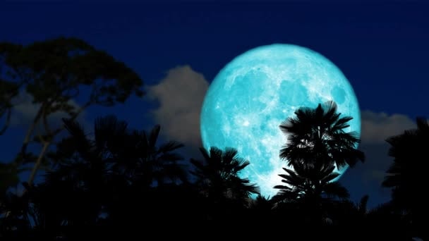یک پدیده نادر کیهانی رخ میدهد