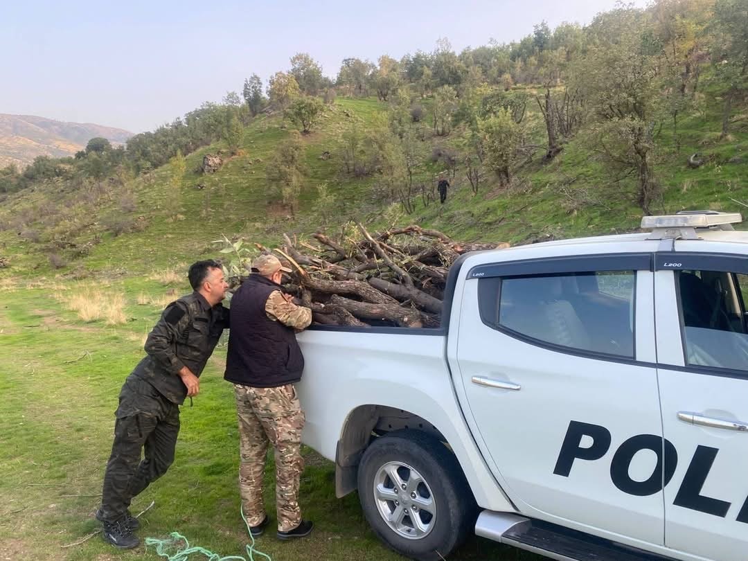 پۆلیسی دارستانی سۆران: تۆمەتبارێکی داربڕین دەستگیرکرا و دەست بەسەر 3 پیکاب و تڕاکتۆرێک داردا گیرا