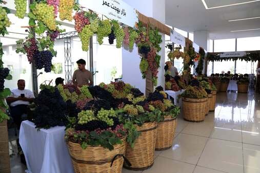 19ـیەمین فێستیڤاڵی ترێ و هەنگوین دەستیپێکرد کە سێ ڕۆژ دەخایەنێت