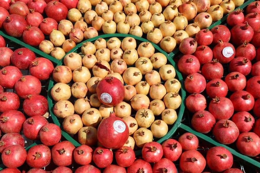 لیژنەی ئەمنیی پارێزگای هەڵەبجە ڕێنمایی تایبەت بە فێستیڤاڵی هەنار بڵاو دەکاتەوە