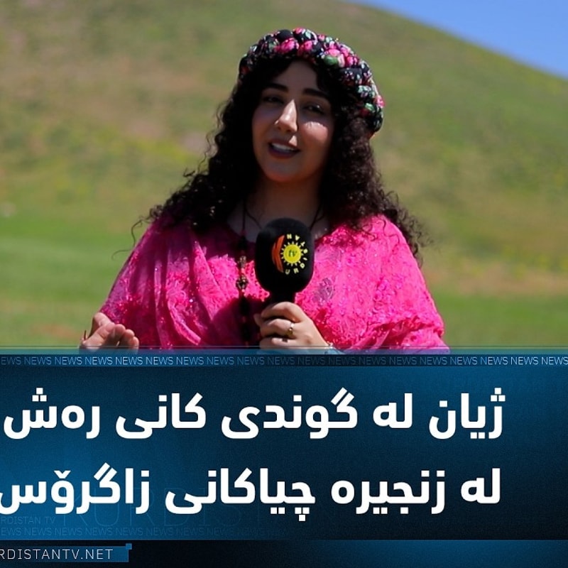 سانا ئەحمەدی