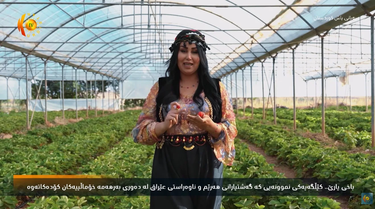 باخێ یارێ.. کێلگەیەکی نموونەی کە گەشتیارانی هەرێم و ناوەراستی عێراق لە دەوری بەرهەمە خۆمالییەکان